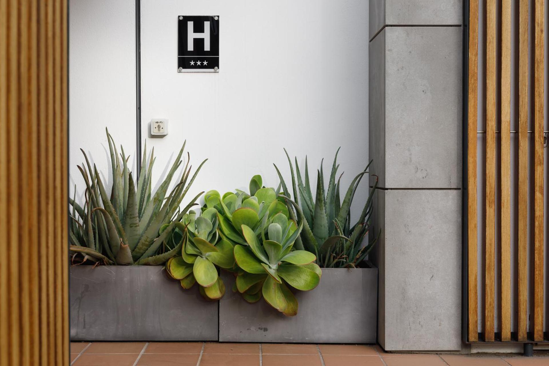 Hotel Hcp Calella De Palafrugell Exterior foto